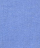 People Tree（ピープルツリー）カジュアルシャツ 青 サイズ:L レディース/2200700964116