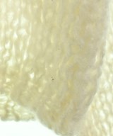 AEWEN MATOPH（イウエンマトフ）カーディガン 白 サイズ:F レディース/2200676285024