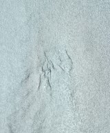 AEWEN MATOPH（イウエンマトフ）Tシャツ・カットソー 黒 サイズ:F レディース/2200654156117