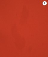 MAISON SPECIAL（メゾンスペシャル）その他 赤 サイズ:36(S位) レディース/2200712768023