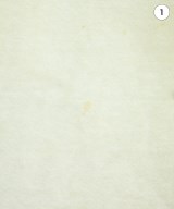 TANGTANG（タンタン）Tシャツ・カットソー 白 サイズ:M メンズ/2200626742089