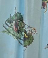 CABaN（キャバン）ワンピース 青 サイズ:F レディース/2200658987052