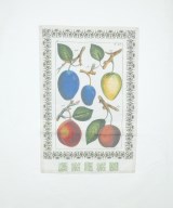 CABaN（キャバン）Tシャツ・カットソー 白 サイズ:S レディース/2200663005079