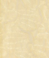 SHIPS any（シップスエニィ）ニット・セーター 白 サイズ:F レディース/2200617843030