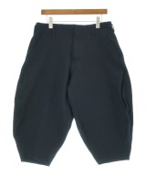 COMME des GARCONS HOMME PLUS（コムデギャルソンオムプリュス）ショートパンツ 紺 サイズ:S メンズ/2200687026258