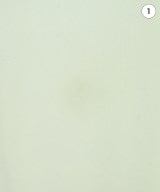 COMME des GARCONS COMME des GARCONS（コムデギャルソンコムデギャルソン）Tシャツ・カットソー 白 サイズ:F レディース/2200637467056