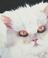 Vivienne Westwood RED LABEL（ヴィヴィアンウエストウッドレッドレーベル）Tシャツ・カットソー 黒 サイズ:3(L位) レディース/2200645062038