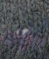 COMME des GARCONS（コムデギャルソン）ニット・セーター グレー サイズ:F レディース/2200639713069