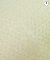 COMME des GARCONS（コムデギャルソン）ニット・セーター 白 サイズ:XS レディース/2200642547101