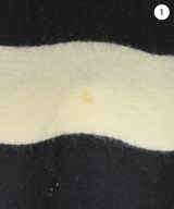 JUNYA WATANABE MAN（ジュンヤワタナベマン）Tシャツ・カットソー 黒 サイズ:L メンズ/2200657271060