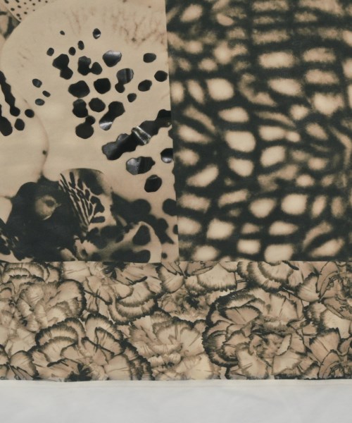 DRIES VAN NOTEN（ドリスヴァンノッテン）ワンピース ベージュ サイズ:XS レディース/2200668179034