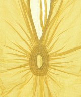 DRIES VAN NOTEN（ドリスヴァンノッテン）ブラウス 黄 サイズ:38(S位) レディース/2200716557173