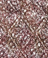 DRIES VAN NOTEN（ドリスヴァンノッテン）小物類（その他） 赤 サイズ:36(S位) レディース/2200686229155