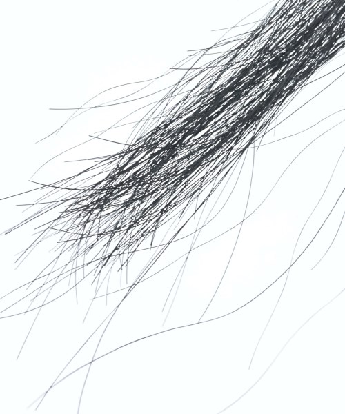 ANN DEMEULEMEESTER（アンドゥムルメステール）小物類（その他） 黒 サイズ:- メンズ/2200722354025