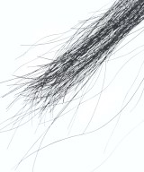 ANN DEMEULEMEESTER（アンドゥムルメステール）小物類（その他） 黒 サイズ:- メンズ/2200722354025