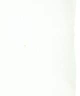 ALEXANDER MCQUEEN（アレキサンダーマックイーン）カジュアルシャツ 白 サイズ:44(L位) メンズ/2200697181152