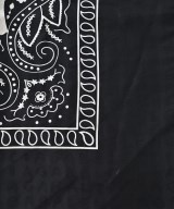 BALENCIAGA（バレンシアガ）小物類（その他） 黒 サイズ:- メンズ/2200695937522