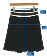BALENCIAGA（バレンシアガ）ひざ丈スカート 黒 サイズ:34(XXS位) レディース/2200685004012