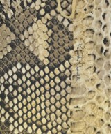 roberto cavalli（ロベルトカバリ）ワンピース ベージュ サイズ:40(M位) レディース/2200665093029