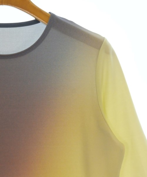 ISSEY MIYAKE（イッセイミヤケ）Tシャツ・カットソー 茶 サイズ:2(M位) レディース/2200621428063
