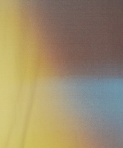 ISSEY MIYAKE（イッセイミヤケ）Tシャツ・カットソー 茶 サイズ:2(M位) レディース/2200621428063