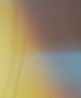 ISSEY MIYAKE（イッセイミヤケ）Tシャツ・カットソー 茶 サイズ:2(M位) レディース/2200621428063