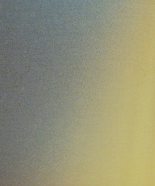 ISSEY MIYAKE（イッセイミヤケ）ロング・マキシ丈スカート 紺 サイズ:2(M位) レディース/2200621428070