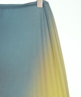 ISSEY MIYAKE（イッセイミヤケ）ロング・マキシ丈スカート 紺 サイズ:2(M位) レディース/2200621428070