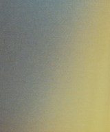 ISSEY MIYAKE（イッセイミヤケ）ロング・マキシ丈スカート 紺 サイズ:2(M位) レディース/2200621428070