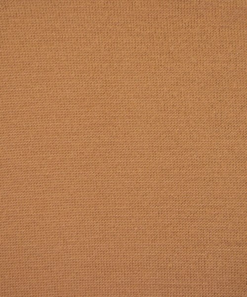 ISSEY MIYAKE（イッセイミヤケ）Tシャツ・カットソー オレンジ サイズ:9(M位) レディース/2200630146187