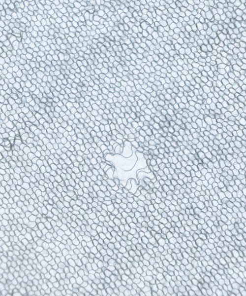 ISSEY MIYAKE（イッセイミヤケ）マフラー その他（柄物・カラフル） サイズ:- メンズ/2200651122092