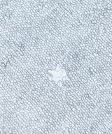 ISSEY MIYAKE（イッセイミヤケ）マフラー その他（柄物・カラフル） サイズ:- メンズ/2200651122092