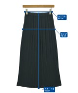 ISSEY MIYAKE（イッセイミヤケ）ロング・マキシ丈スカート 黒 サイズ:M レディース/2200679531074