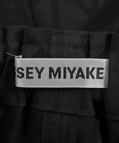 ISSEY MIYAKE（イッセイミヤケ）その他 黒 サイズ:2(M位) レディース/2200692584057
