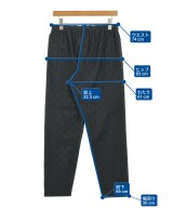 ISSEY MIYAKE（イッセイミヤケ）その他 黒 サイズ:2(M位) レディース/2200692584057