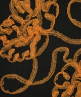 TAO（タオ）Tシャツ・カットソー 黒 サイズ:M レディース/2200623828052