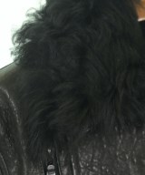 ALEXANDER WANG（アレキサンダーワン）ライダース 黒 サイズ:4(XL位) レディース/2200645698015