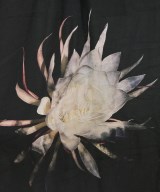 s'yte（サイト）その他 黒 サイズ:3(L位) メンズ/2200736283021