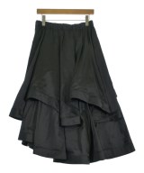 noir kei ninomiya（ノワールケイニノミヤ）ロング・マキシ丈スカート 黒 サイズ:M レディース/2200678289037