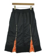 noir kei ninomiya（ノワールケイニノミヤ）ロング・マキシ丈スカート 黒 サイズ:-(M位) レディース/2200661337028