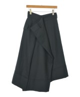 noir kei ninomiya（ノワールケイニノミヤ）ロング・マキシ丈スカート 黒 サイズ:S レディース/2200703906168