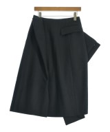 noir kei ninomiya（ノワールケイニノミヤ）ロング・マキシ丈スカート 黒 サイズ:S レディース/2200662944119