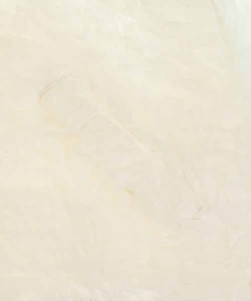 COMME des GARCONS GIRL（コムデギャルソンガール）その他 白 サイズ:XS レディース/2200546861112