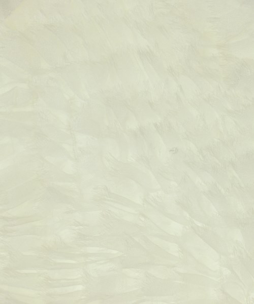 COMME des GARCONS GIRL（コムデギャルソンガール）その他 白 サイズ:S レディース/2200648915041