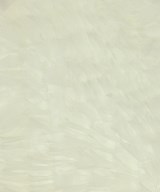 COMME des GARCONS GIRL（コムデギャルソンガール）その他 白 サイズ:S レディース/2200648915041