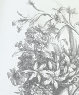 Erdem（アーデム）Tシャツ・カットソー 白 サイズ:S レディース/2200696952050
