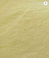 LEMAIRE（ルメール）カジュアルシャツ 黄 サイズ:36(XS位) レディース/2200701622190
