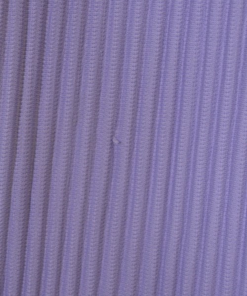 HOMME PLISSE（オムプリッセ）その他 紫 サイズ:2(M位) メンズ/2200644785013