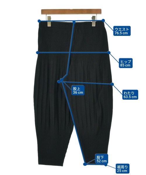 HOMME PLISSE（オムプリッセ）その他 黒 サイズ:3(L位) メンズ/2200618877034