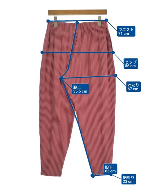 HOMME PLISSE（オムプリッセ）その他 ピンク サイズ:2(M位) メンズ/2200673995025